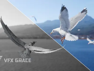 Seagull Animation - VFX Grace 3D model