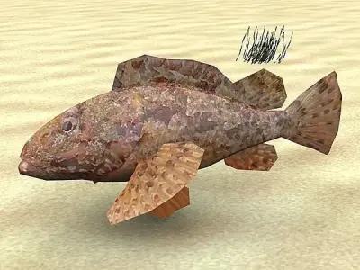 Skarpina - Scorpaena Scrofa Low-poly 3D model