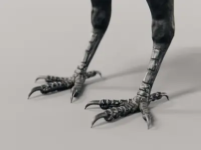 Crow - Rigged Low-poly 3D model