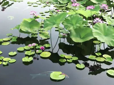 Lotus and Koi Fish Pond 01 Low-poly 3D model