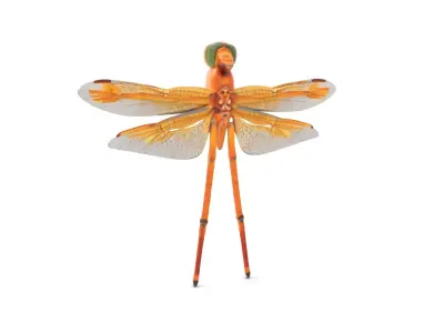 Golden Dragonfly model pack Low-poly 3D model