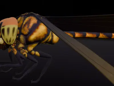 Dragonfly Animated 3D Model Low-poly 3D model