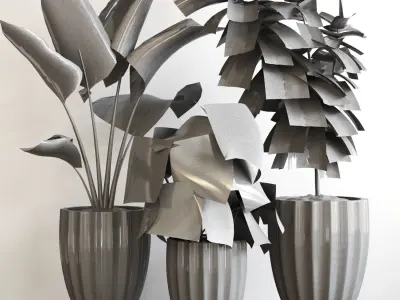 Plant Collection Rpm 08 3D model