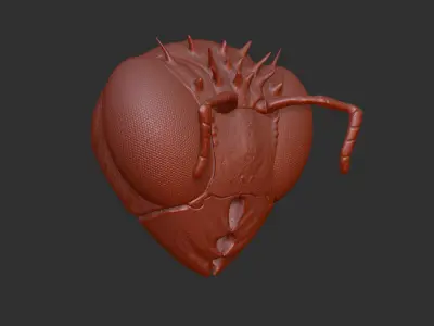 Insect wasp similar-High- end 3D print model highpoly Free 3D print model