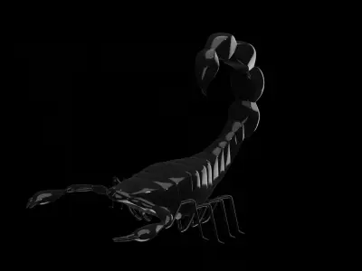 Scorpion  Low-poly 3D model