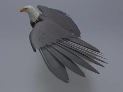 Eagle Low-poly 3D model