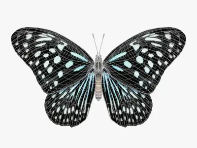 Butterfly Blue Tiger 3D model