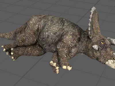 TRICERATOPS dinosaur Low-poly 3D model