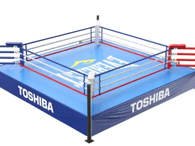 Detailed Boxing Ring 02 3D model