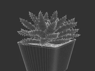  Short Leaved Aloe Succulent Potted Plant Model 