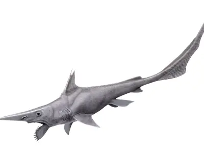 Helicoprion Asset Pack Low-poly 3D model