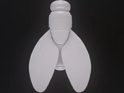 Califoride insect  3D model