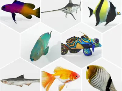 15 Saltwater Fish Pack Low-poly 3D model