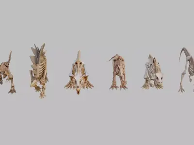 Dinosaurs Skeletons Collection Low-poly 3D model