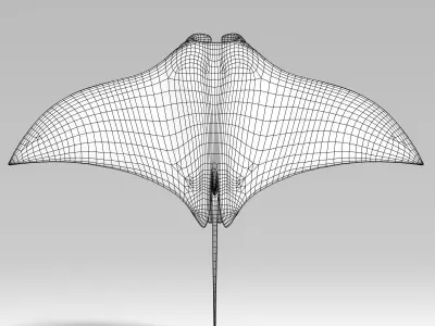 manta ray  rigged 3D model