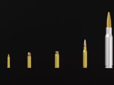 5 Bullet Collection silver 3D model