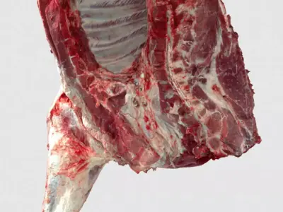 Pork Body Half 2 Low-poly 3D model