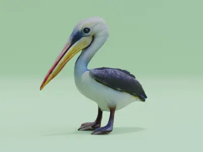 Baby Pelican Cute Low-poly 3D model