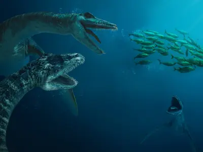 Plesiosaurus (Rigged) 3D model