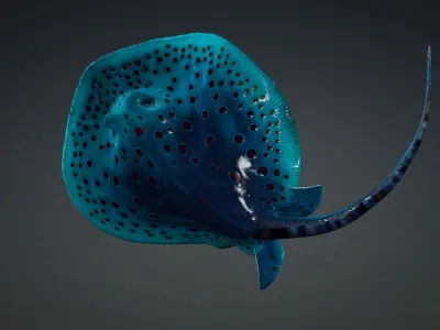 Ray Fish-A1 3D model