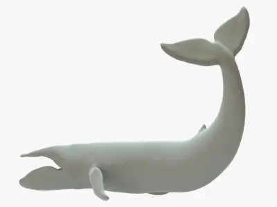 Blue Whale Rigged Basemesh Low-poly 3D model