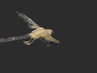 kite animated Low-poly 3D model