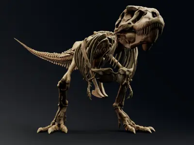 Dinosaur Trex Sue Skeleton Unreal Engine - Unity Projects 3D model