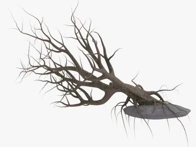 Old Tree 3D model purchase