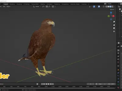 Realistic Animated Golden Eagle Low-poly 3D model