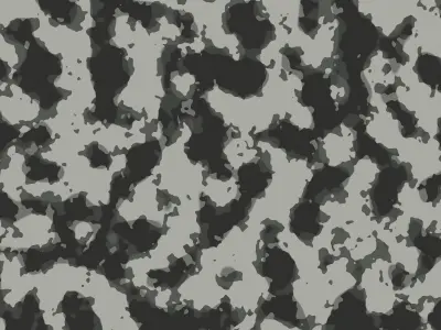 Camouflage Pack Texture