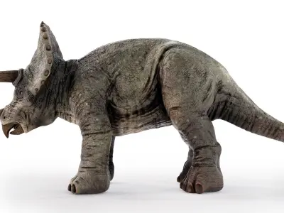 Triceratops Low-poly 3D model