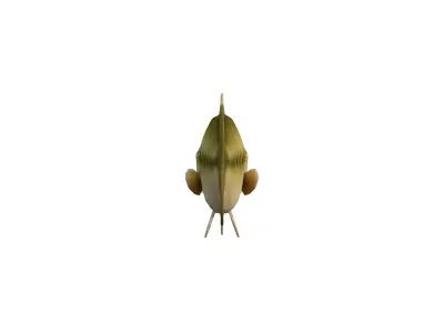 Realistic Bass Fish Low-poly 3D model