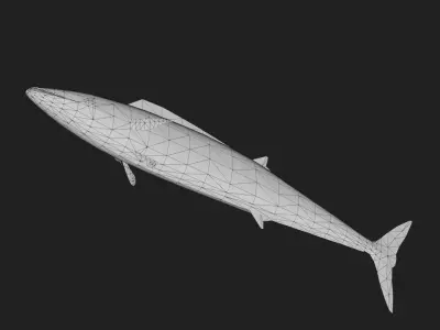 Wahoo Low-poly 3D model