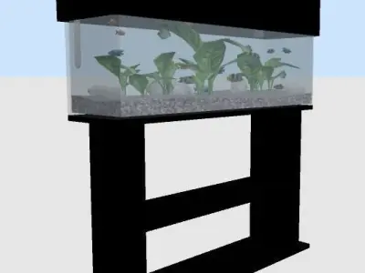Aquarium with fish Free 3D model
