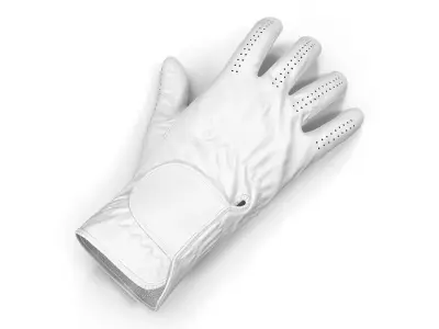 Golf Glove 3D model