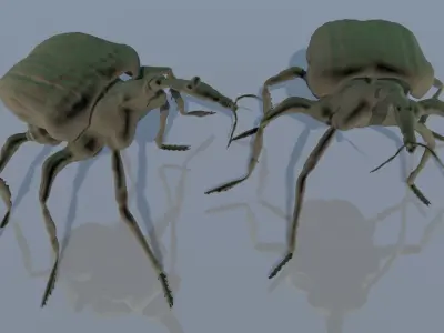 Trachelophorus giraffa 3D print model