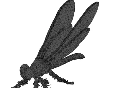 Realistic Dragonfly 3D Model Low-poly 3D model