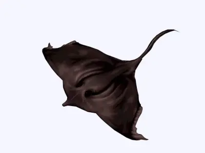 Stingray Low-poly 3D model