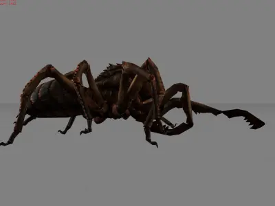 Spider I Animal Low-poly 3D model