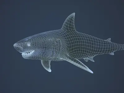 Great white shark  AAA Low-poly 3D model