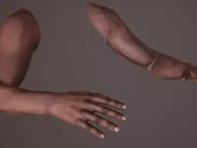 FPS Arms 02 Rigged Free 3D model