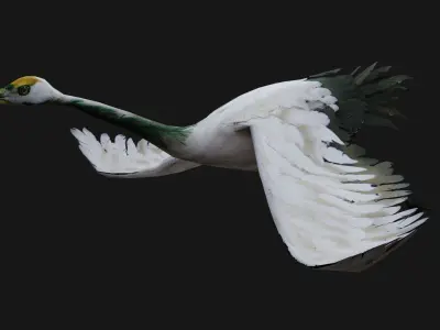 Crane Bird A4 3D model