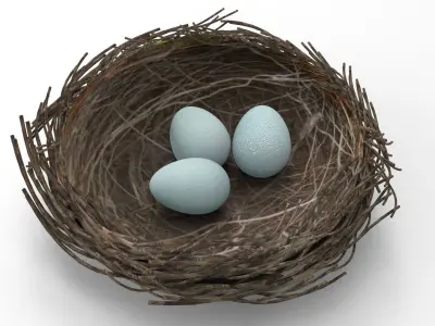 Bird Nest 3D Unity Low-poly 3D model