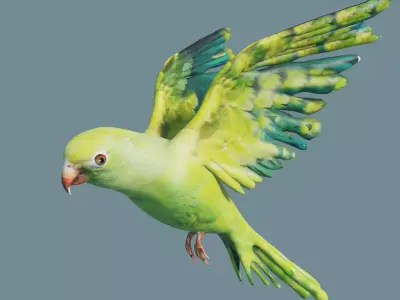 parrot parakeet flying in sky Low-poly 3D model