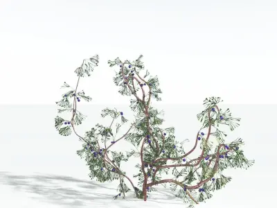 EVERYPlant Baiera 4 --14 Models-- 3D model