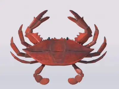 Crab 3DsMax model Free low-poly 3D model