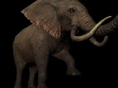 Rigged ELEPHANT Low-poly 3D model