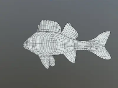 Bass - Fish Free low-poly 3D model