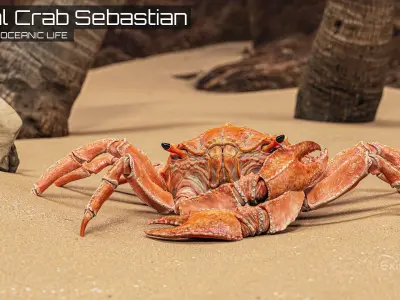 Royal Crab - King Sebastian - Realistic Rigged Animated - 18 Low-poly 3D model
