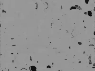 Magical Fire Fox Spirit 3D Model Low-poly 3D model